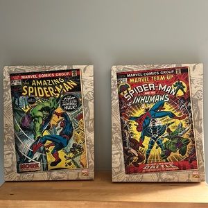Marvel Comics Spider-Man Wall Decor